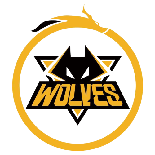 和引援资金 和引援资金