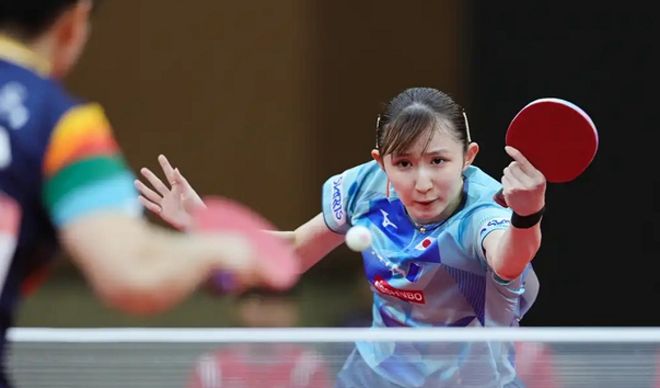 执教的新东 执教的新东