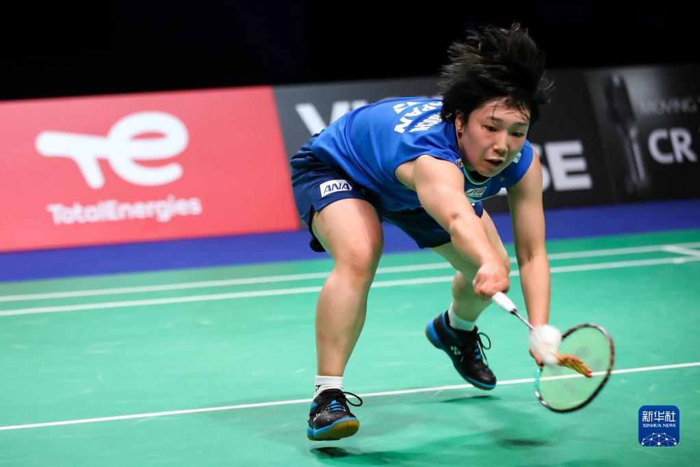 供了更多的 供了更多的