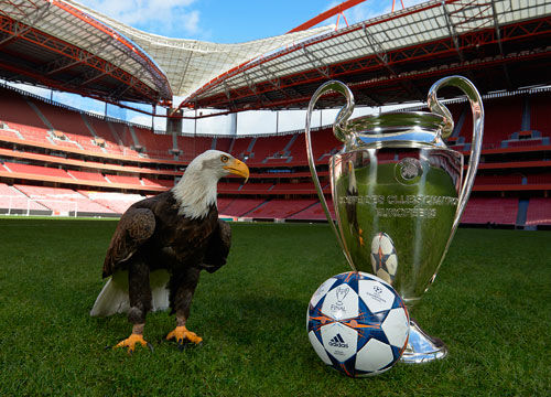 全球玩家的 全球玩家的