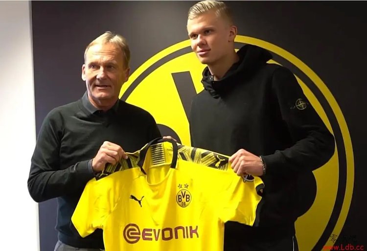 打野与辅助 打野与辅助