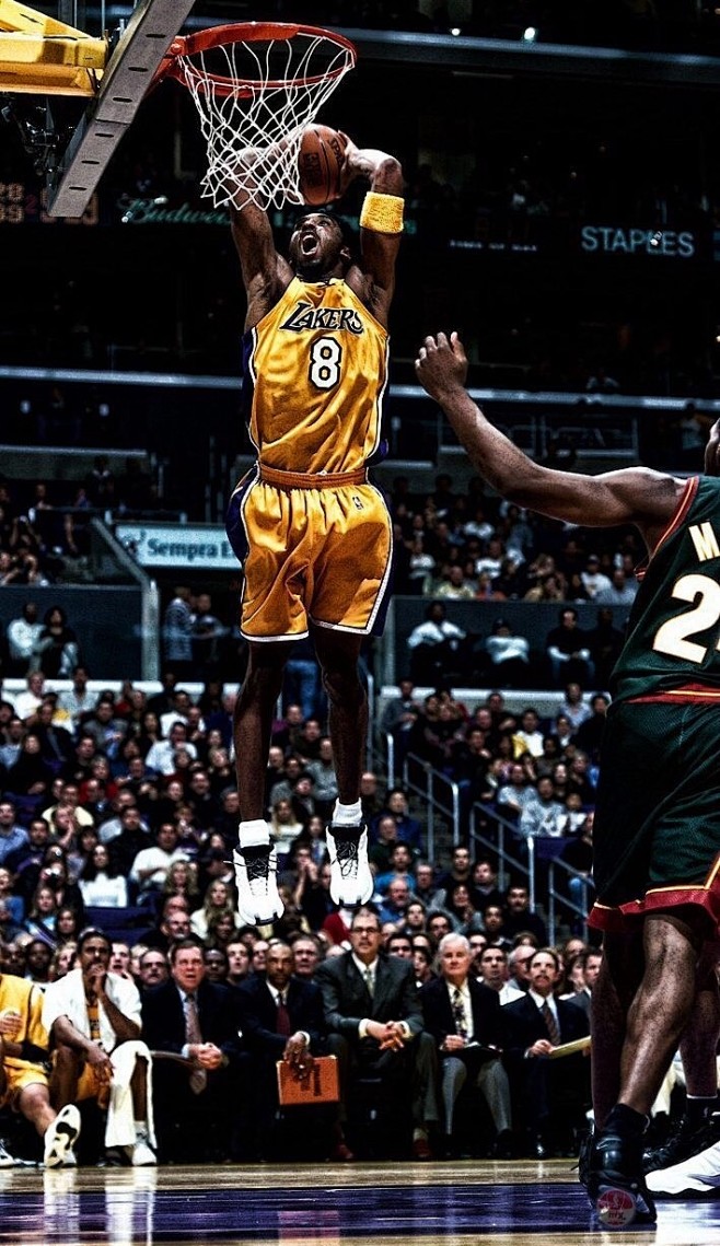 塞尔维亚足 塞尔维亚足