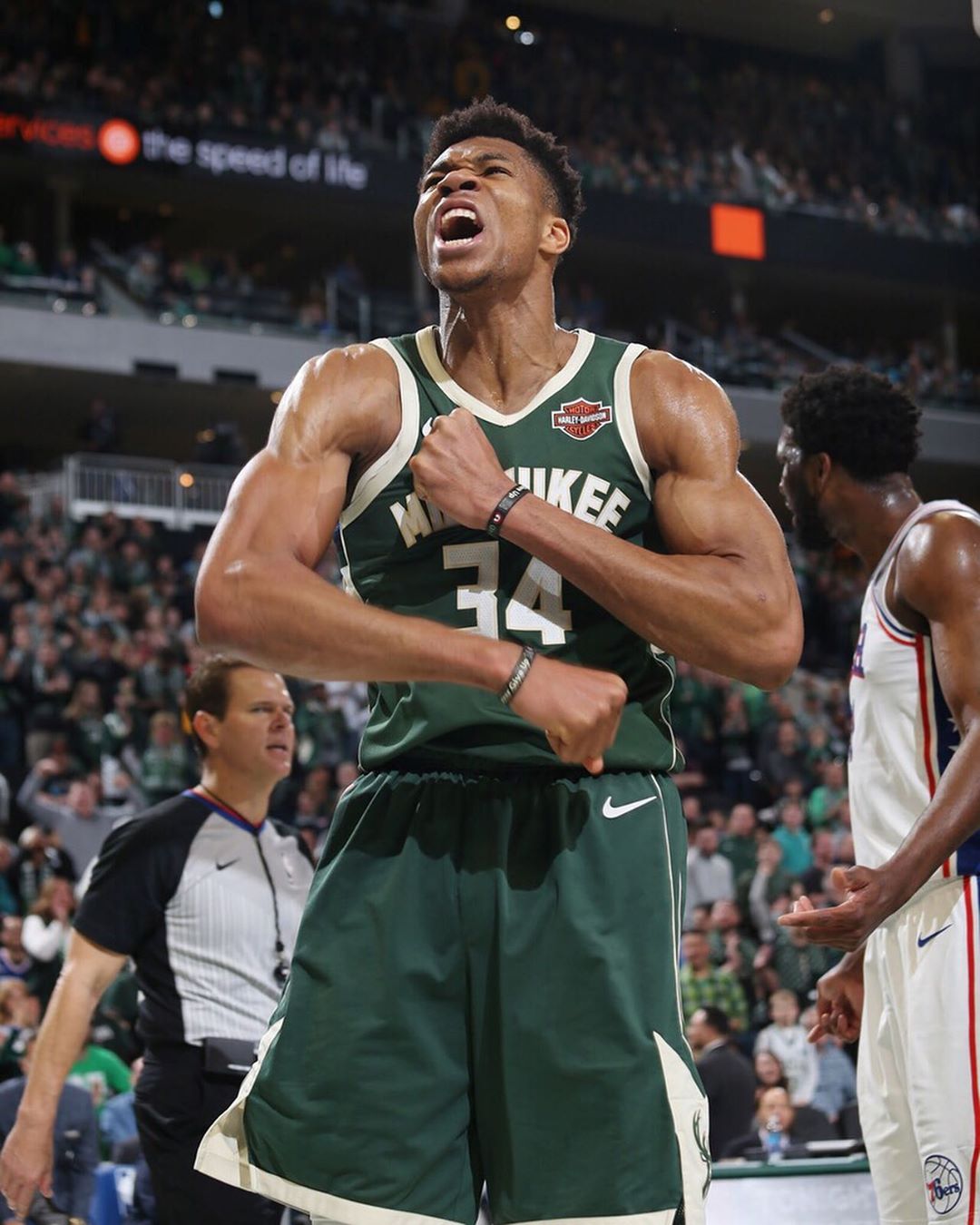 哈登已经把 哈登已经把